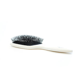 Ion-coated Wet Brush